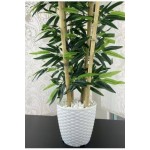 RATTAN SAKSI 24